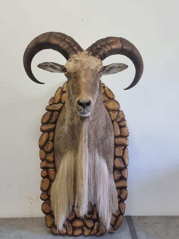 Preparátor referencia munkák
